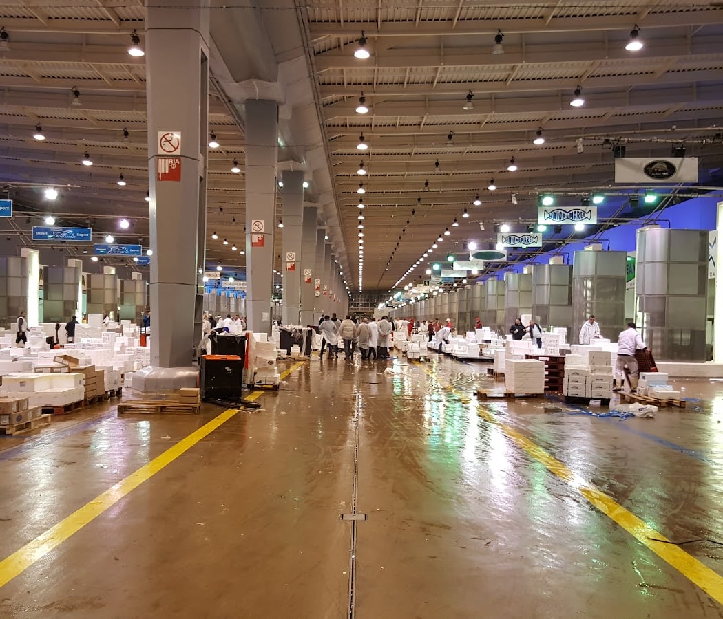 Rungis Market - Home Tide 2